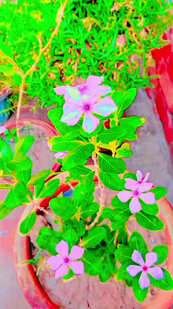 @Zairah08