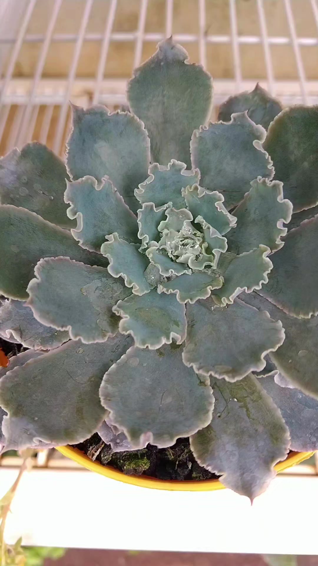 @Feito a M&atilde;o DIY Sustent&aacute;vel 🌱