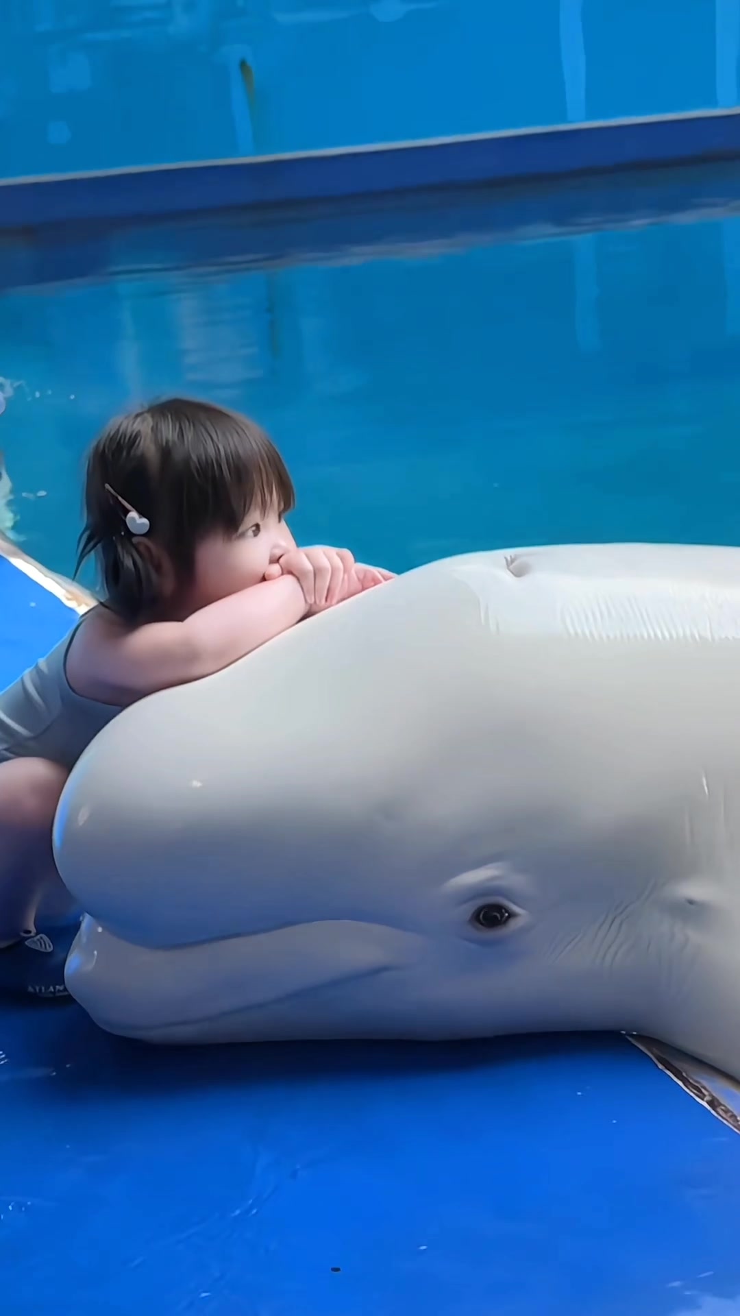 @𝓐ᥫ᭡𝐥𝐳𝐚𝐚🧸ྀི
