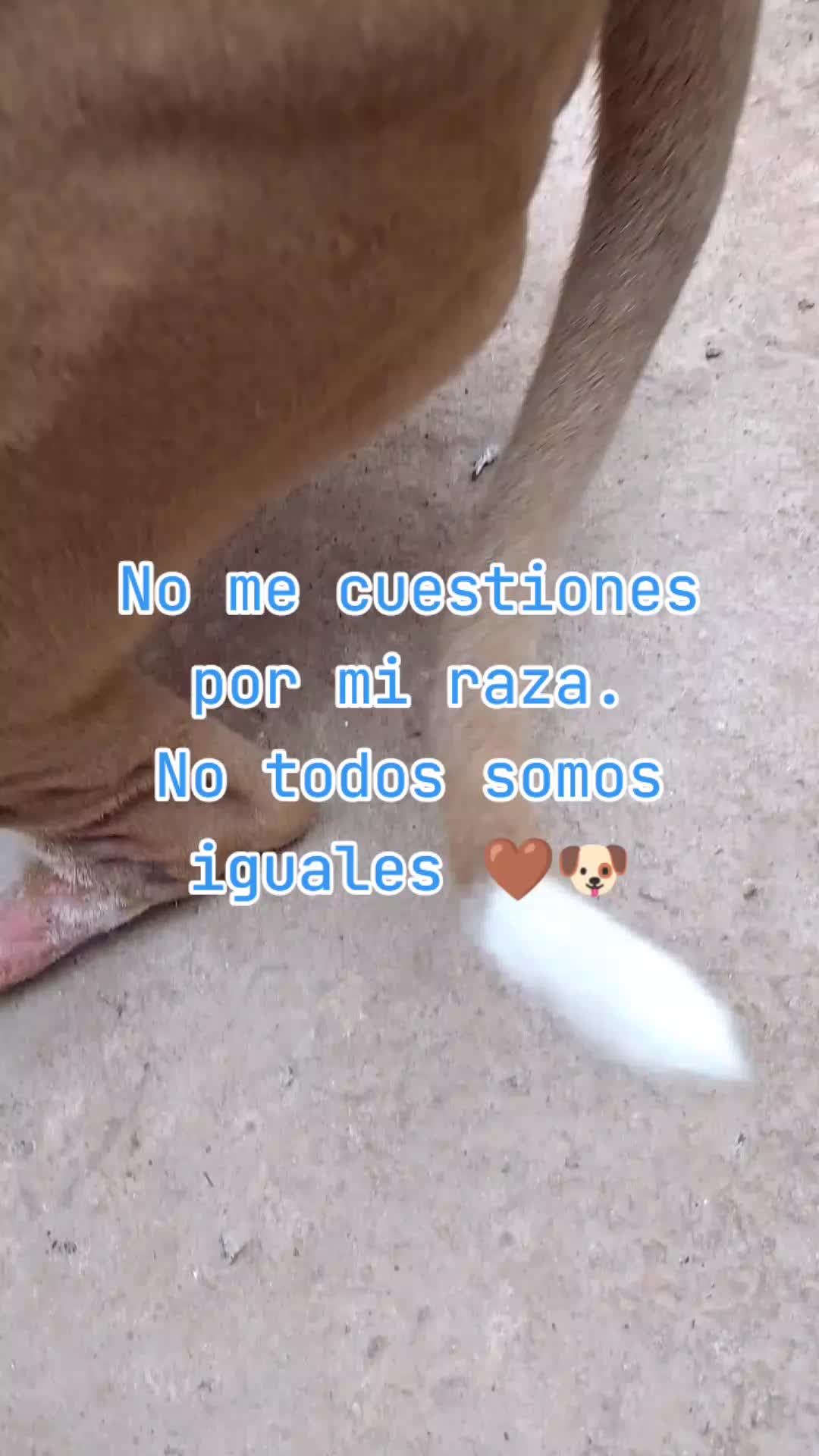 @Bibi 💙🇦🇷