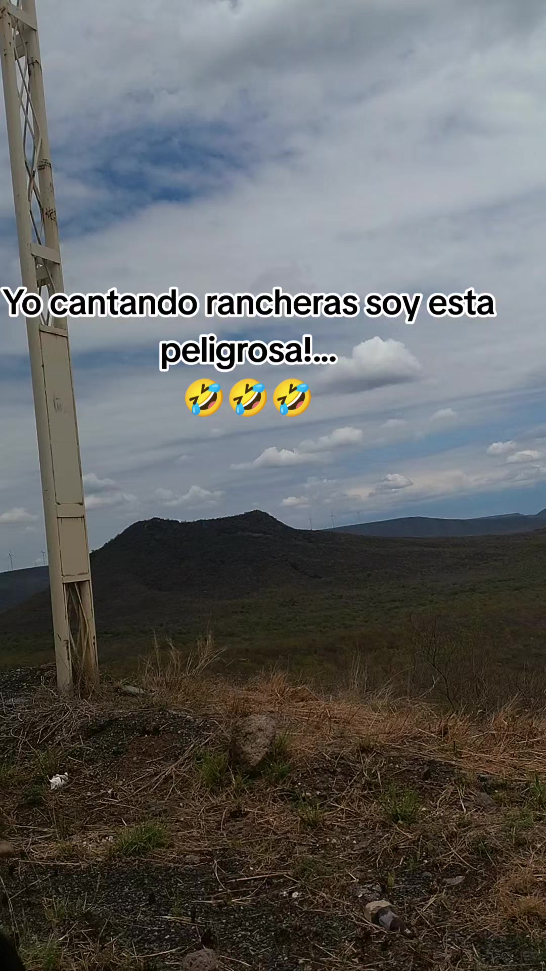 @vecky