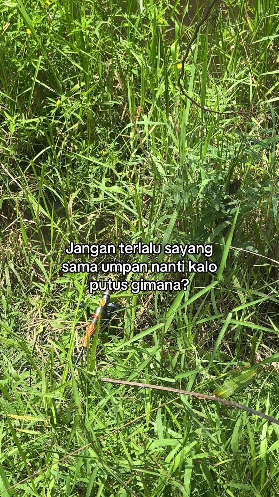 @Be🌻
