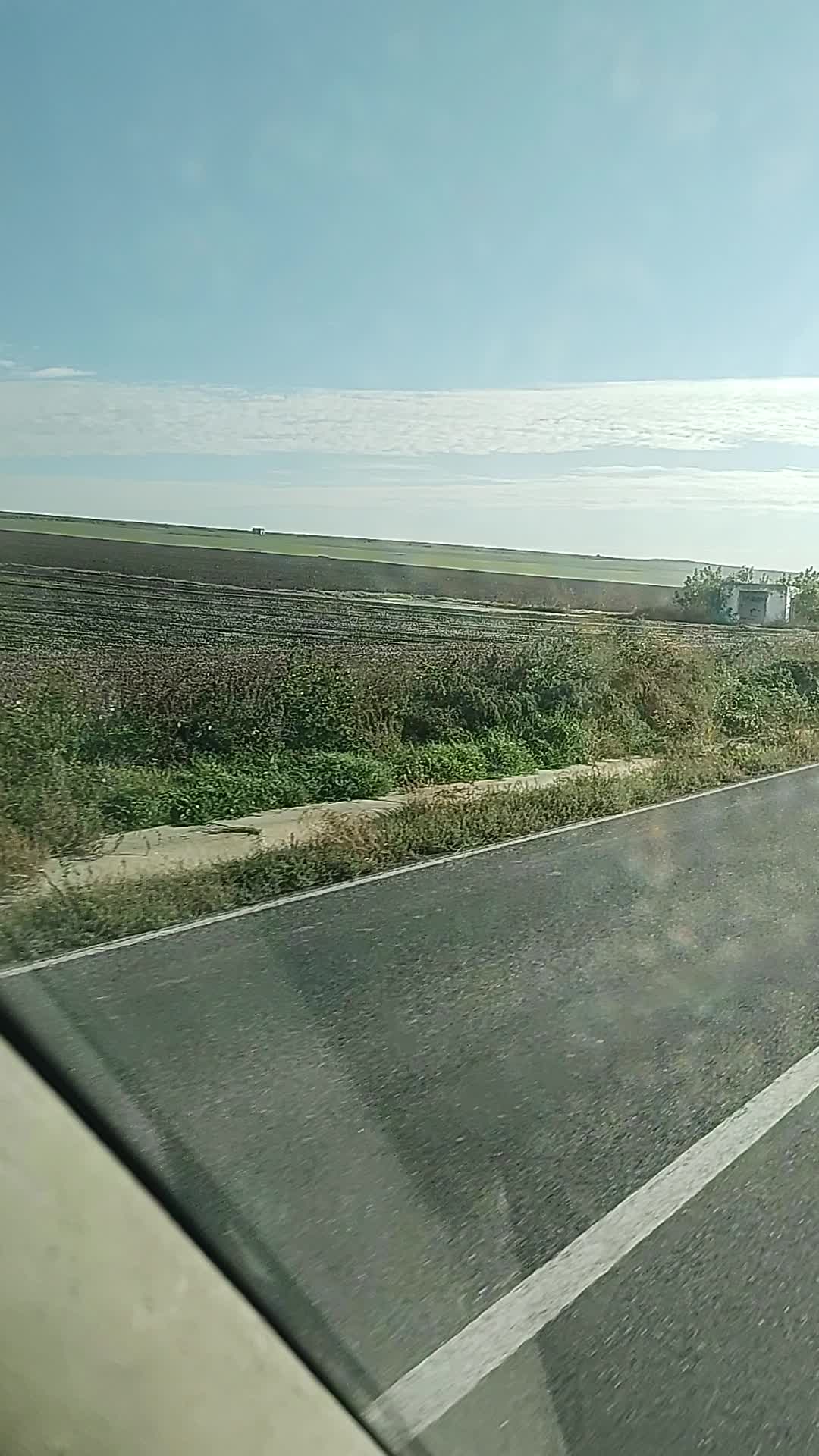 @sendo 81