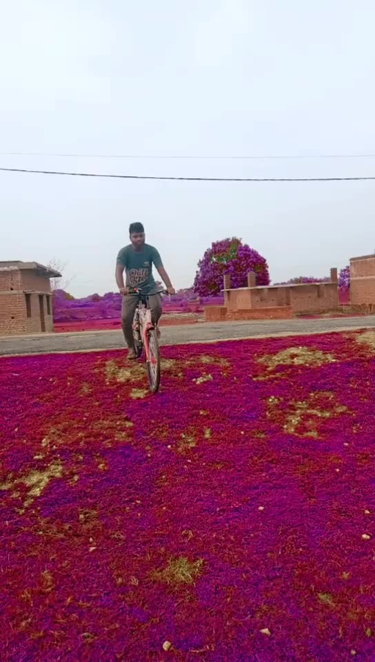 @Parmeshwar Bauri🇮🇳