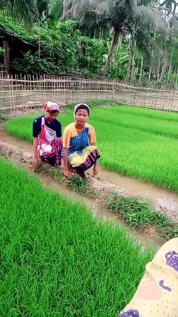 @basanta saikia