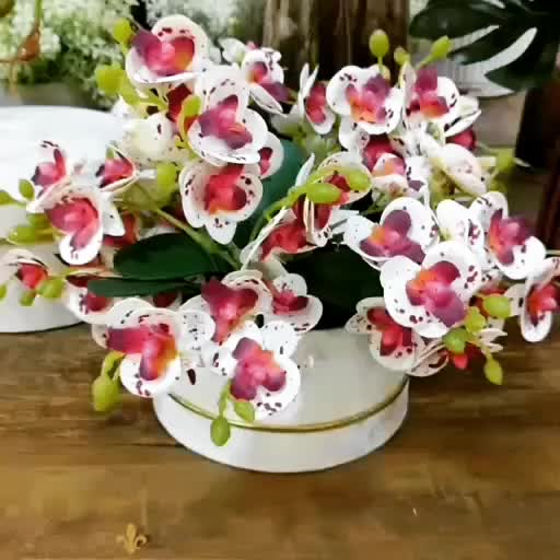 @Ros&acirc;ngela K BelaFlor