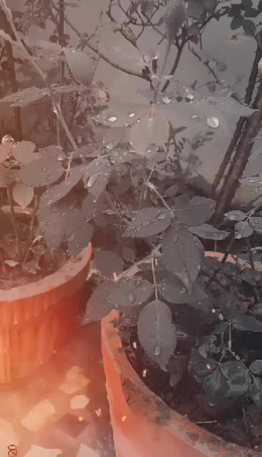 @sahilrai.45⚡