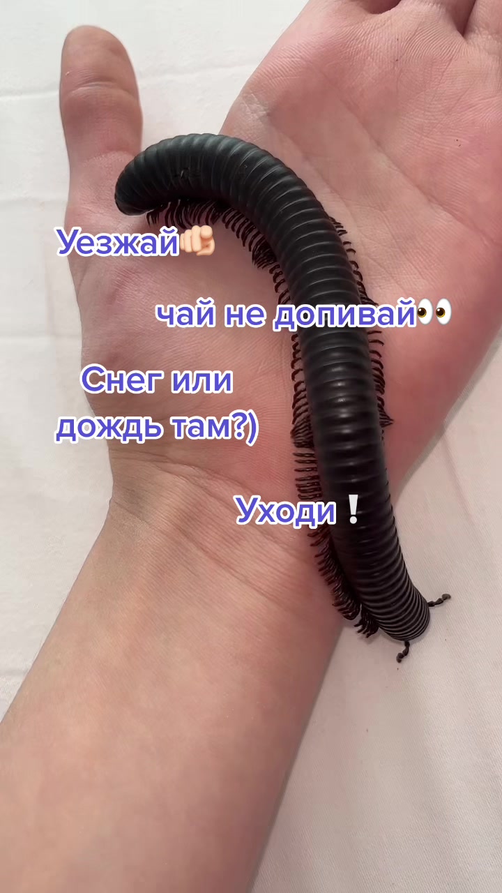 @_.v_snail_v._