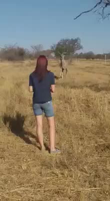 @Kalbas4x4Safaris