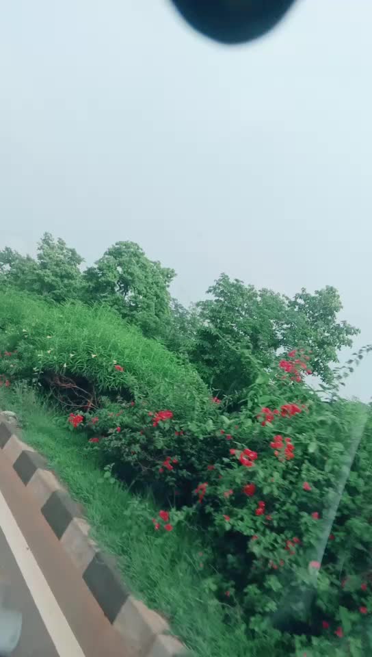 @Bindu Dongre