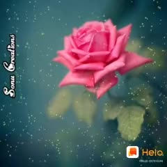 @user2582853712609
