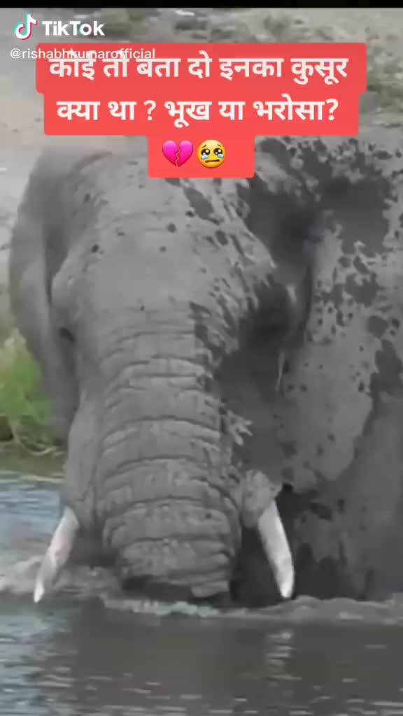 @Vk Bhai Vk Bhai995
