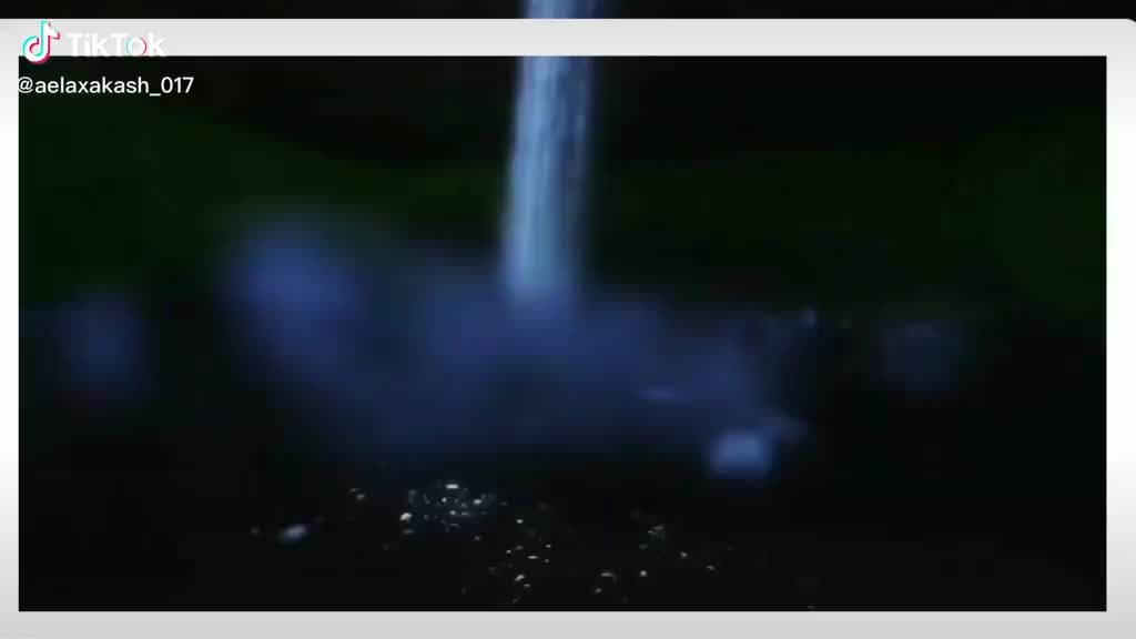 @user1126827818016
