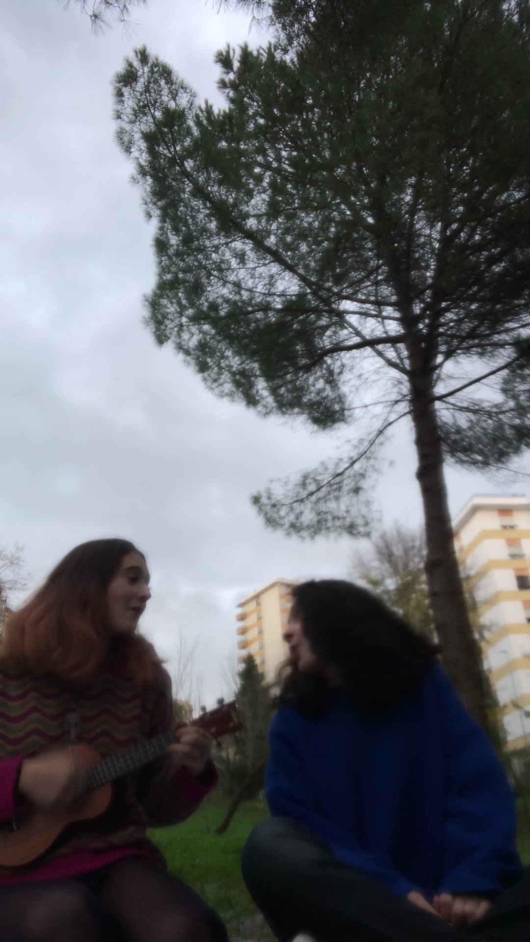 @cebel