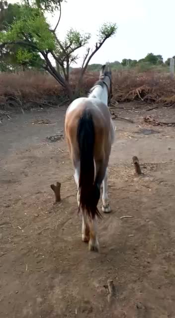 @vishal_aapa_7775
