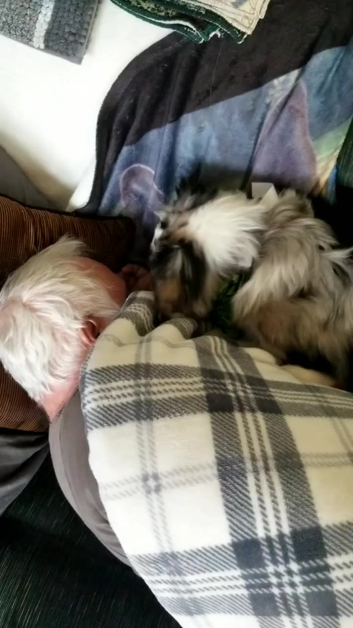 @Jett The Aussie