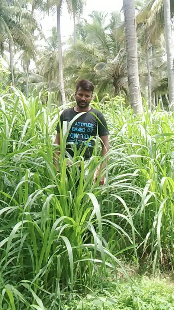 @Putta Raju