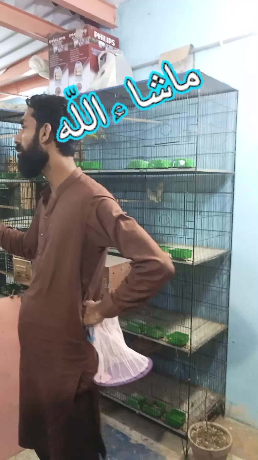@Prince Lakhani