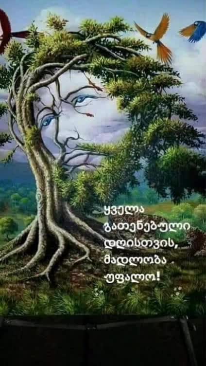 @๐ฉต๐น๐๐ซ๐ฉต๐น๐ซ