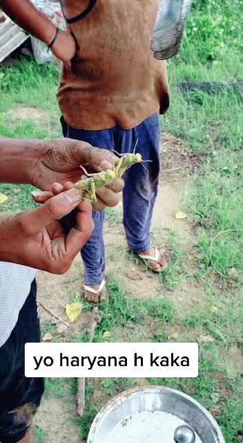 @dadri aala baba 1211