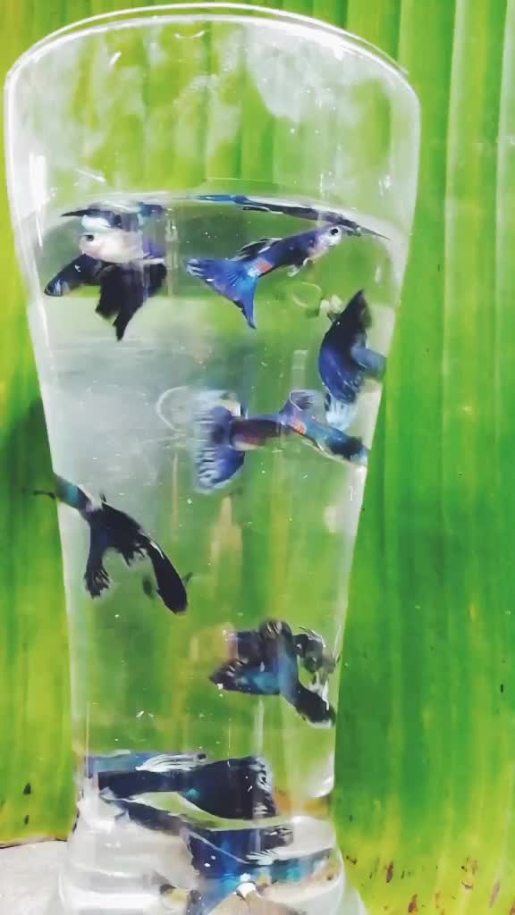 @Praveen Saju