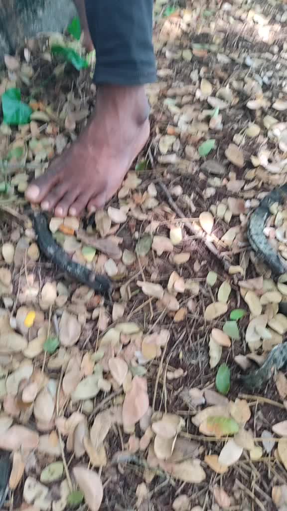 @Naradala Nani