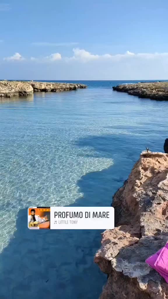 @Celeste Cendamo