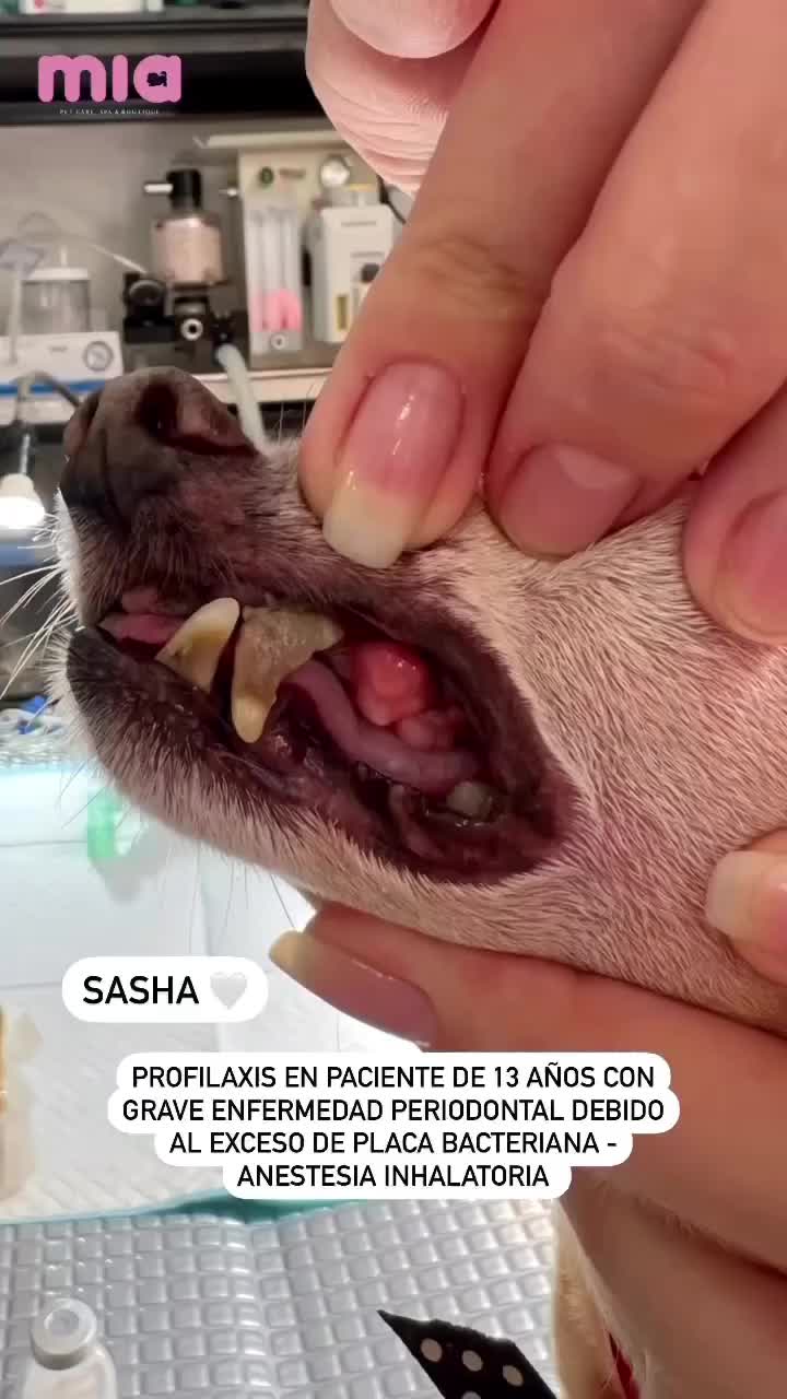 @Daniela Ospina