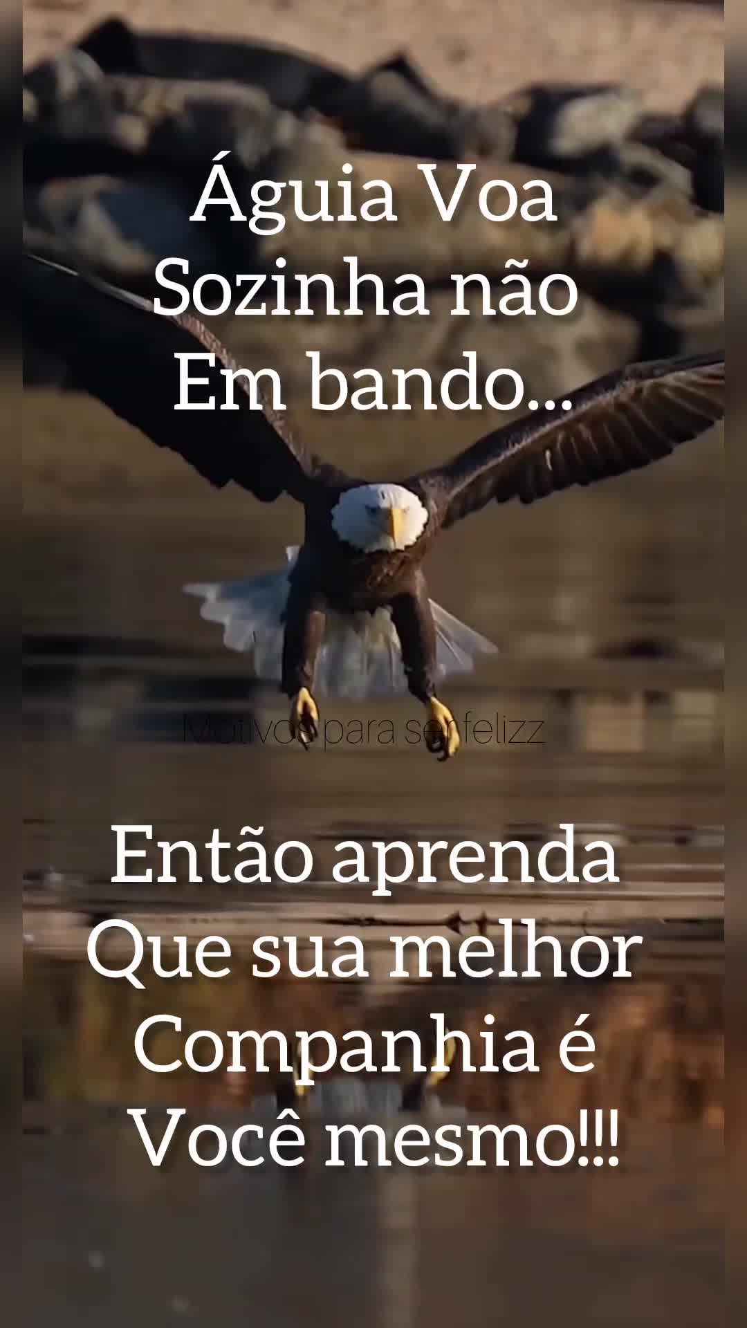 @Motivos para ser feliz