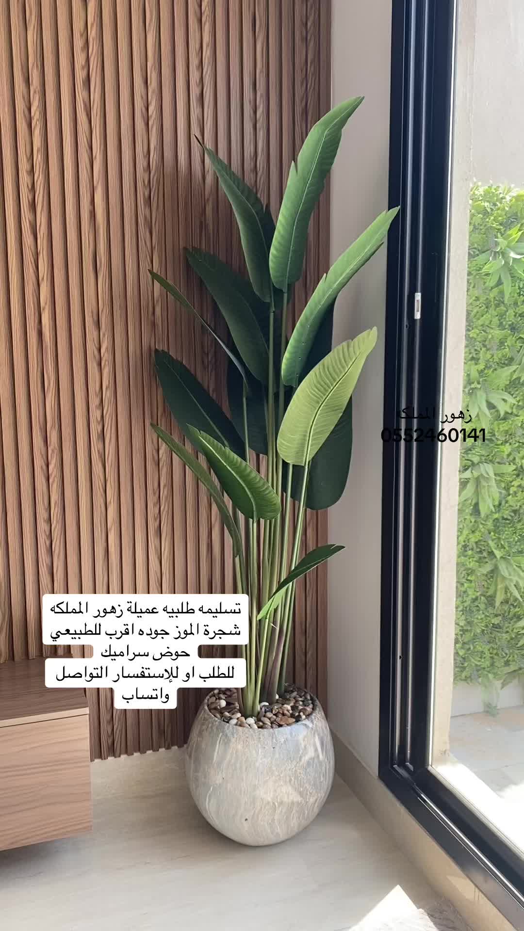 @الشجره الراقيه(زهور المملكه)🌴