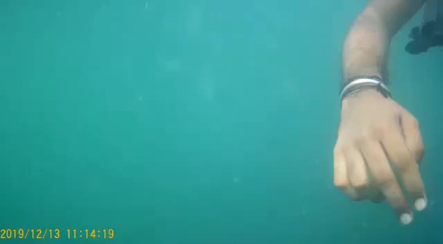 @Manojmano