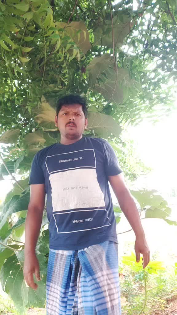 @user8504071479393