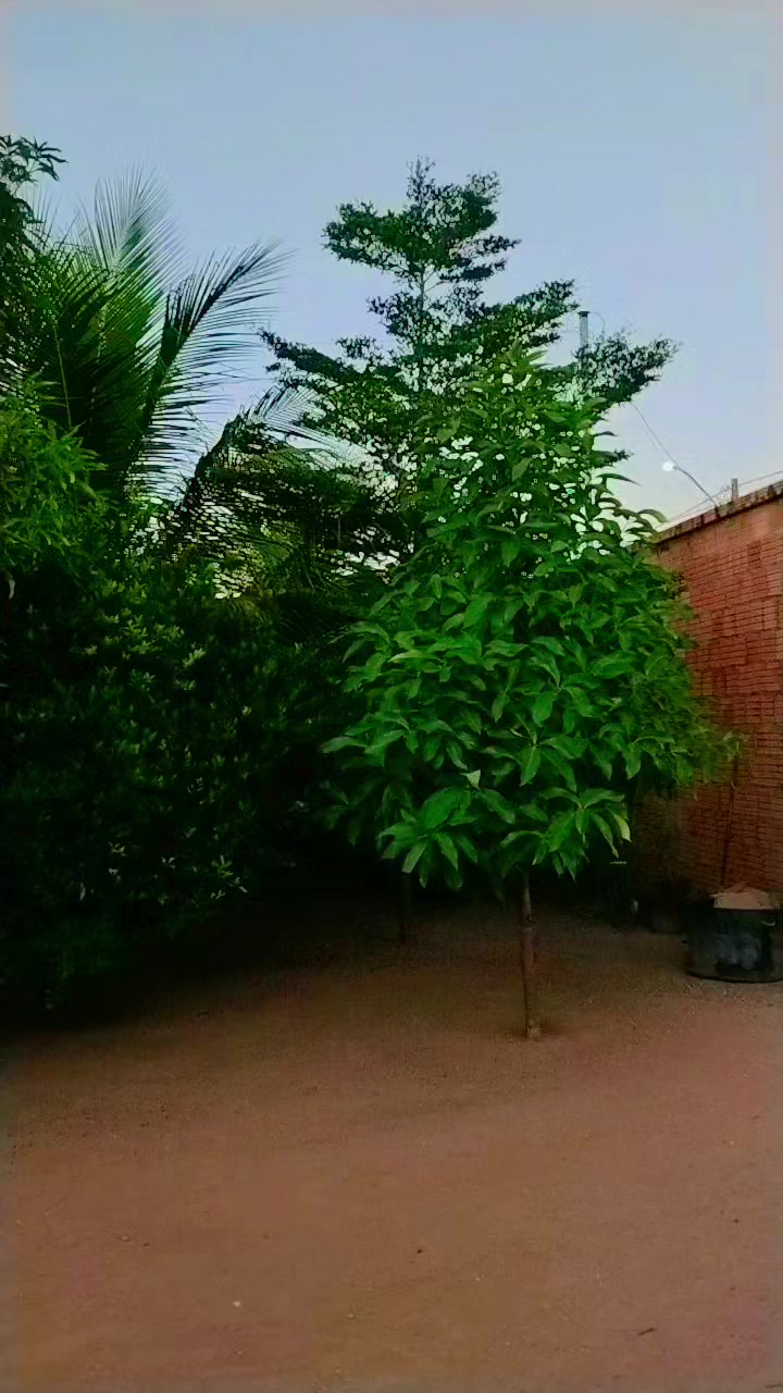 @Gil Ferreira Silva