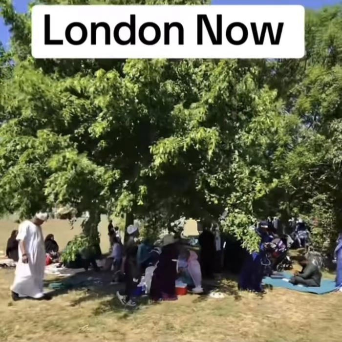 @zipplens