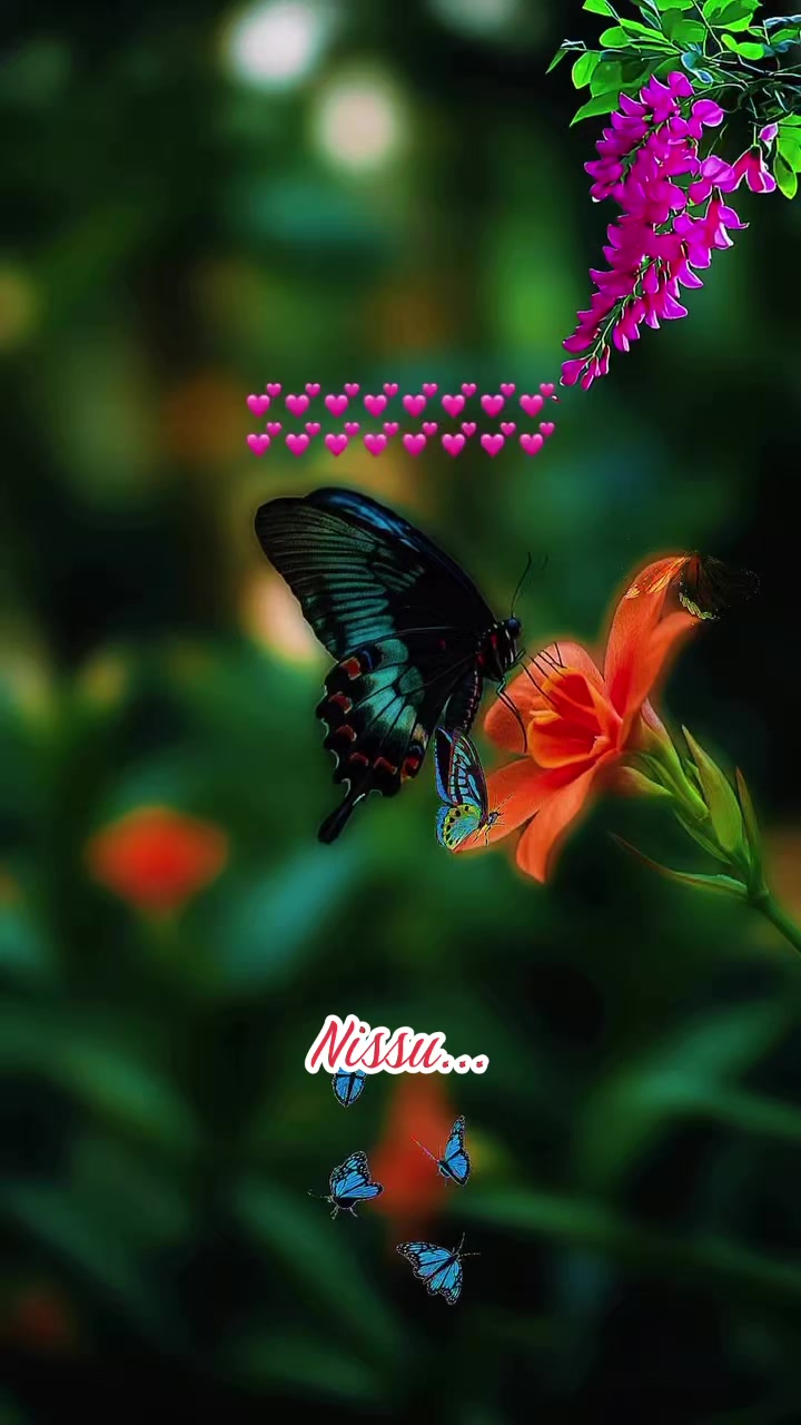 @⭕☭⃞𝕤𝕒𝕘𝕒𝕧ℕ𝕚𝕤𝕤𝕦🚩⭕