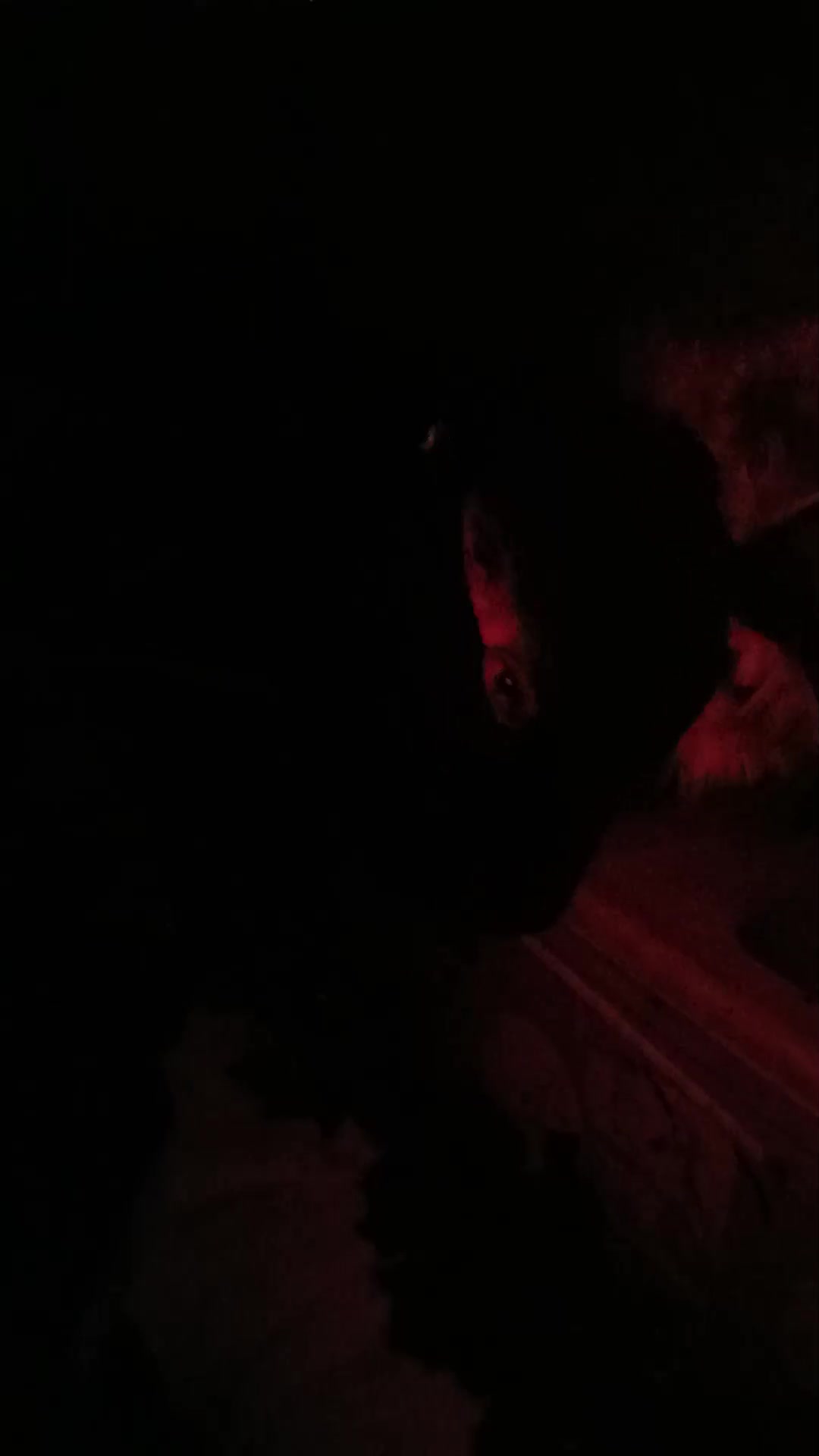 @†+✝+ 𝕳𝖊𝖑𝖑𝕳𝖔𝖚𝖓𝖉 +✝+†