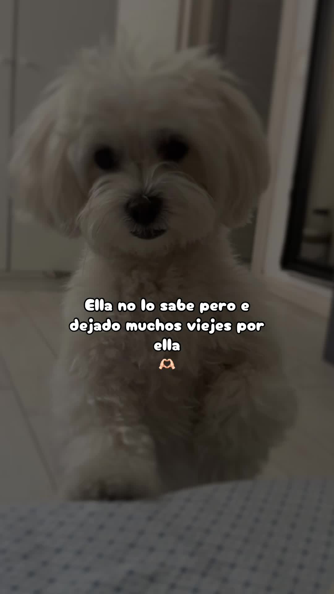@Xenia López