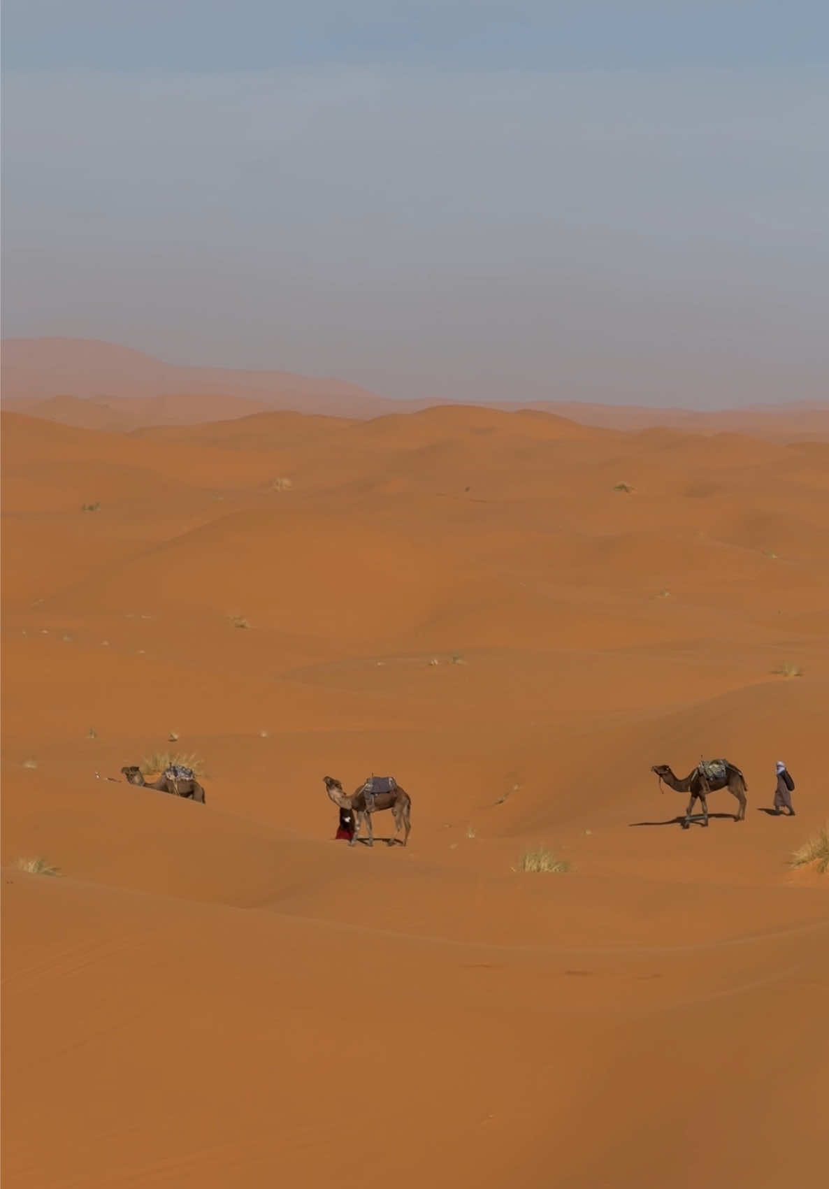 @Merzouga Globe 🌎