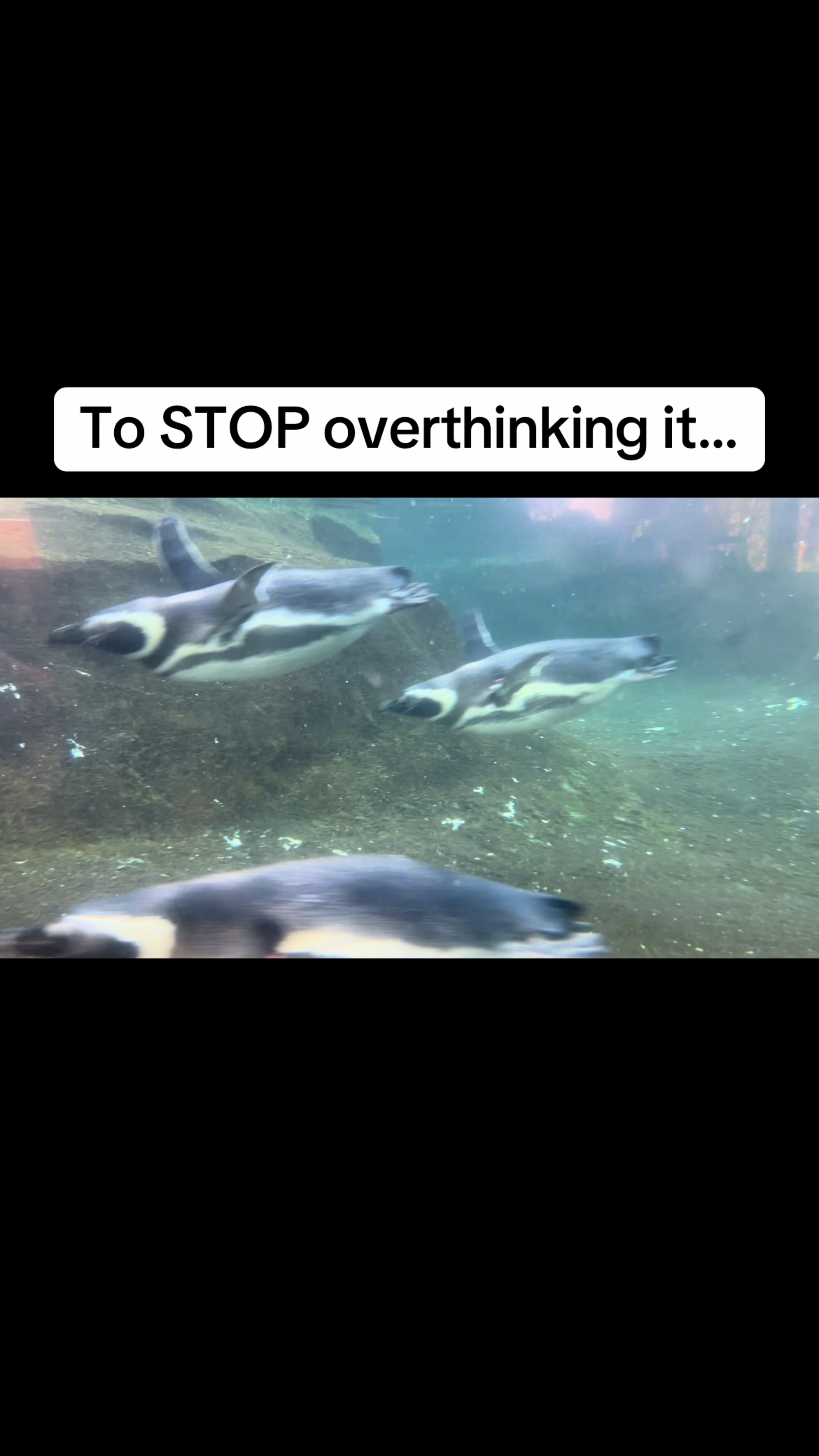 @E113 🐦&zwj;⬛✨