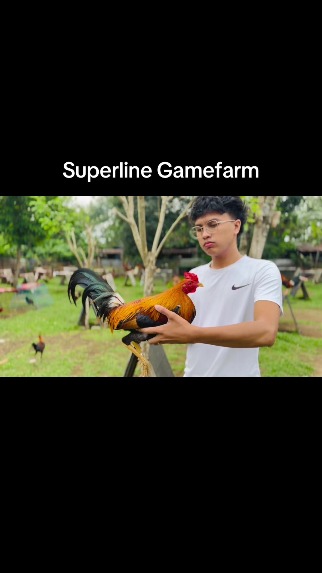 @Superline Gamefarm