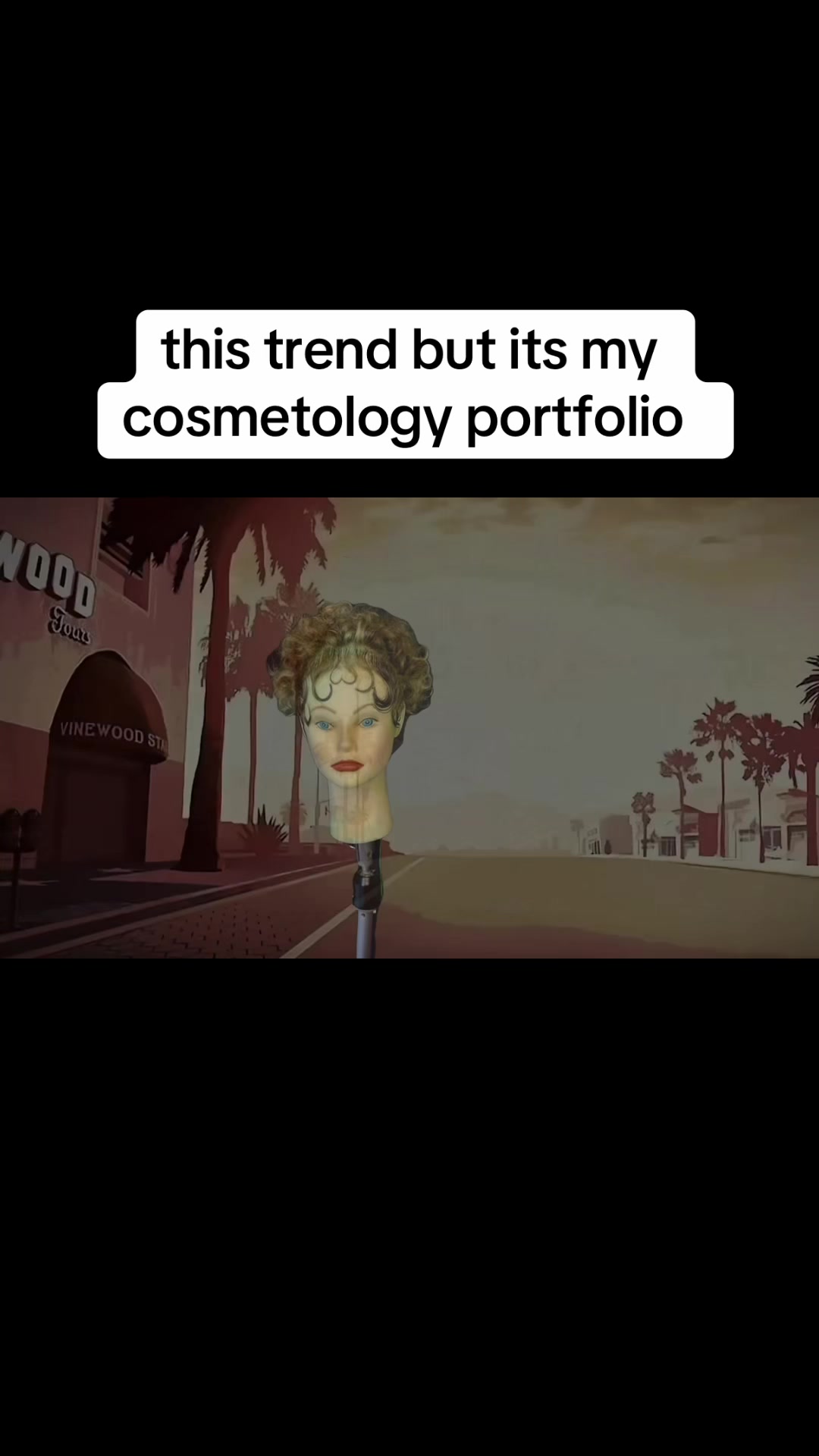 @medicatedmystermeatv2