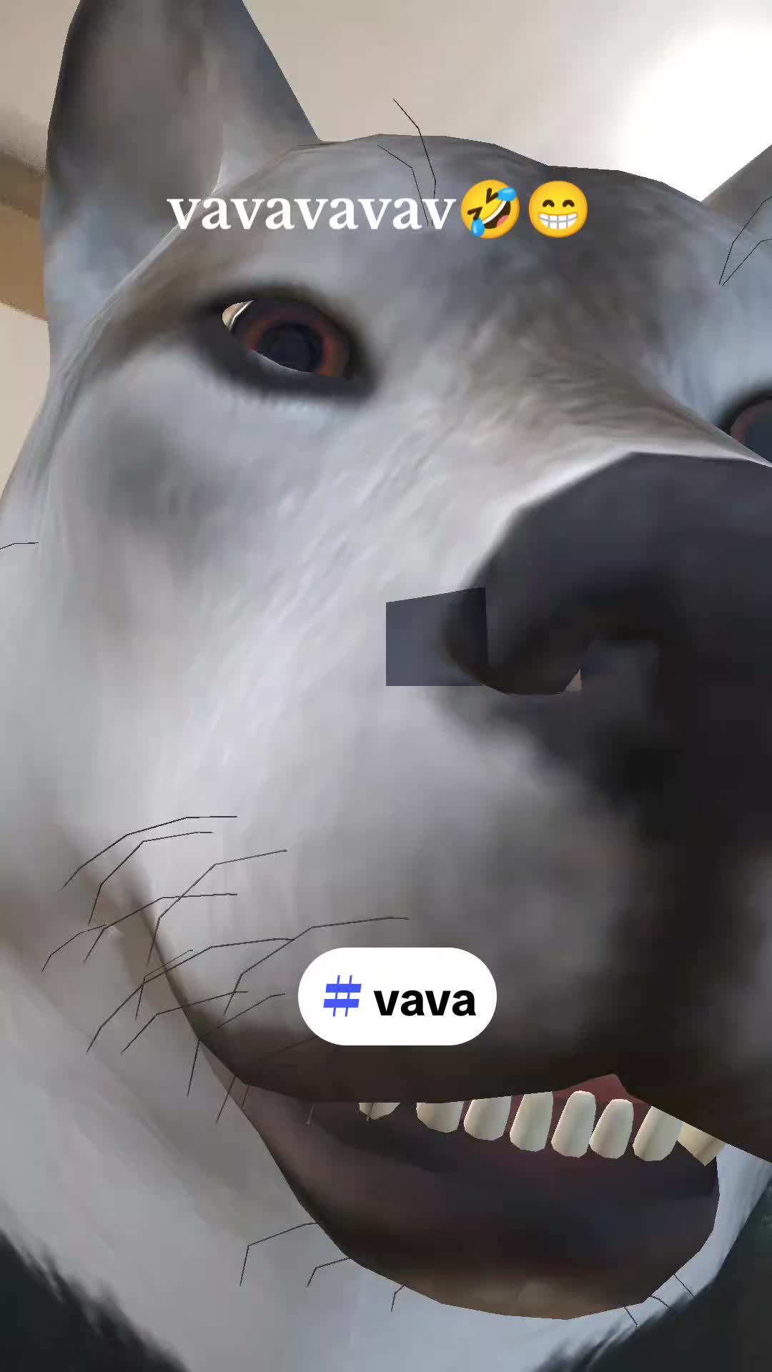 @Mehmet🐺