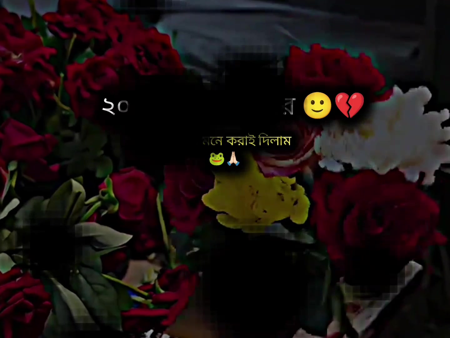 @𝗧𝗮𝗿𝗲𝗸 𝗕𝗵𝗮𝗶𝘆𝗮𝗮'♡︎