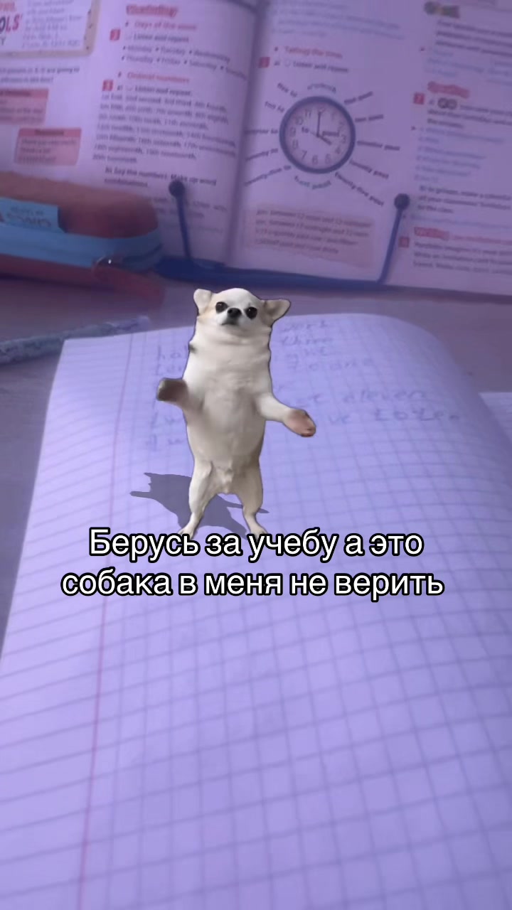 @Екатерина Шабаева
