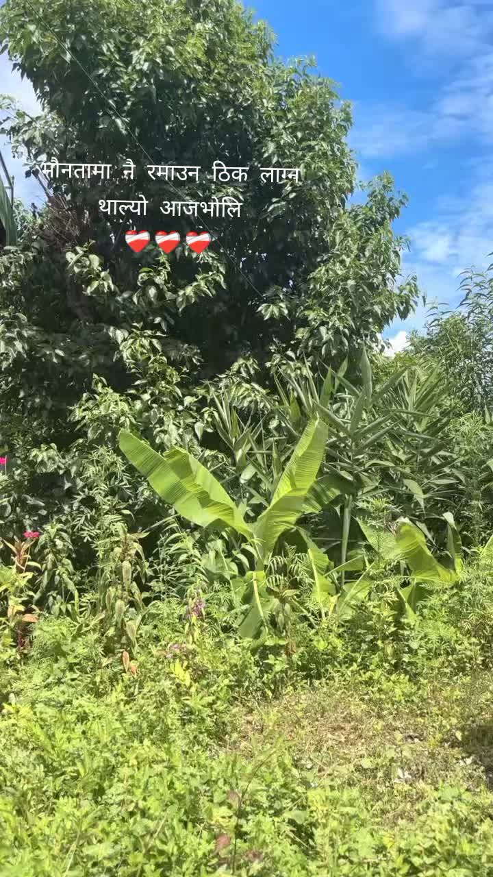 @🧿{khimu}🪄🪬