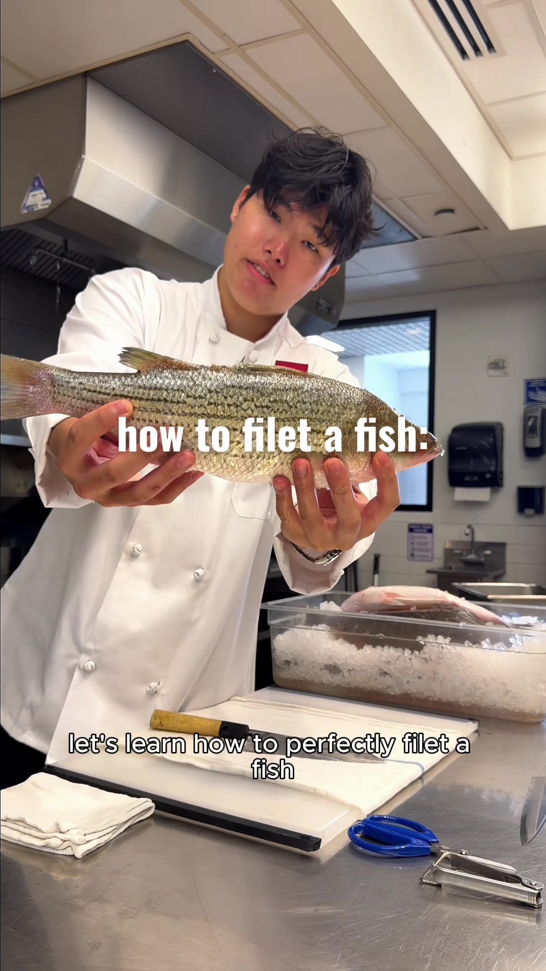 @stevenmotocooks