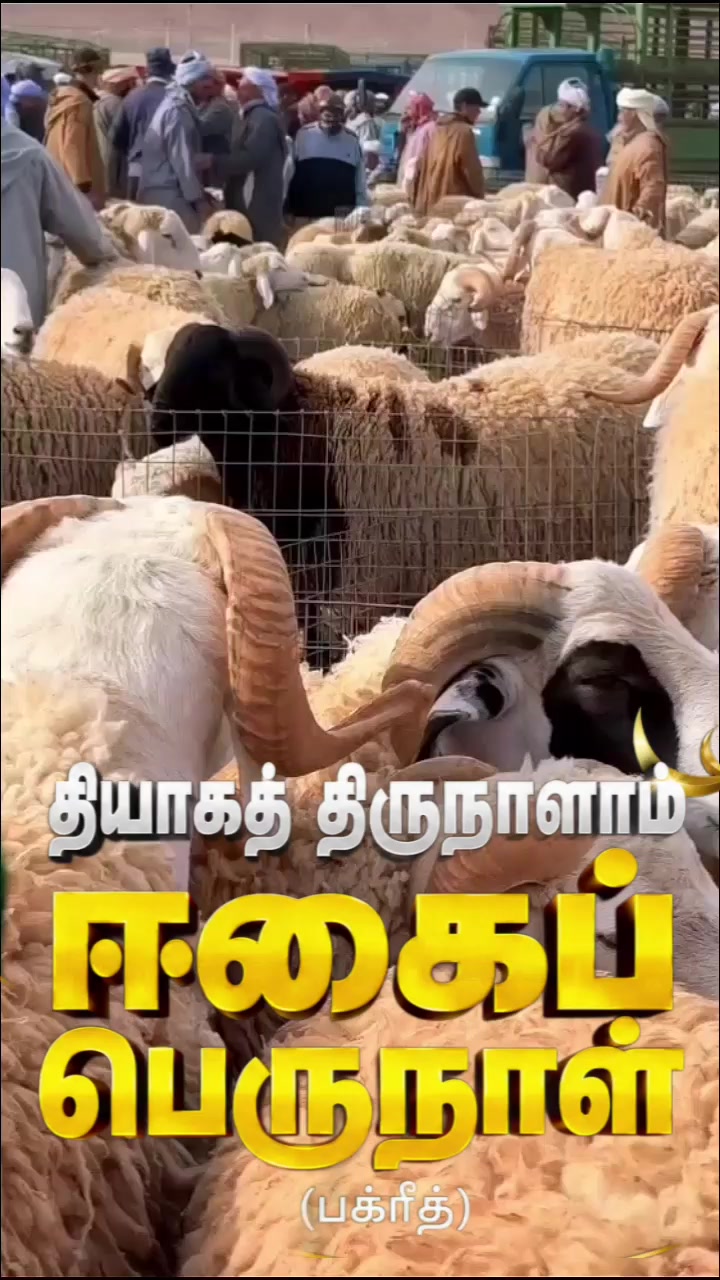 @Juwaideen