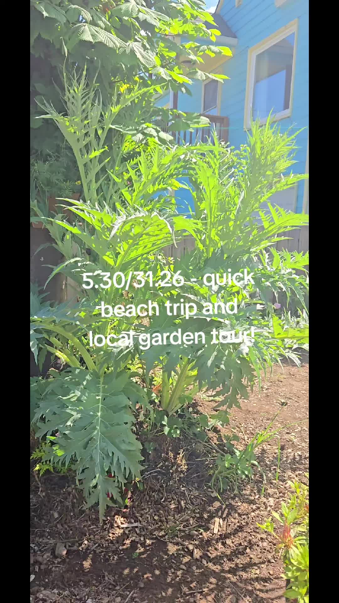 @sarahkillsplants