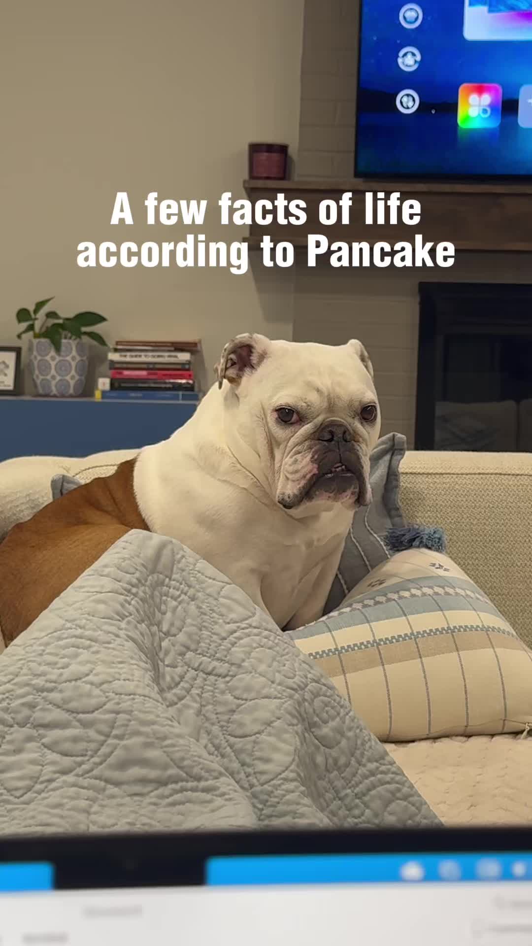 @Pancake 🥞