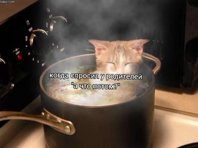 @𝓐𝓷𝓰𝓮𝓵✯𝓬𝓱𝓮𝓴